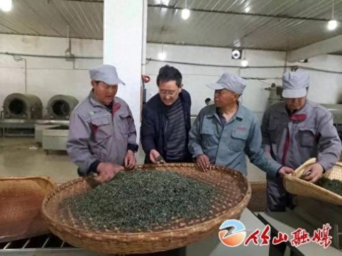 湖北十堰茶叶排名前十(湖北最出名的茶叶)插图2