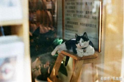 常州书店排名前十(常州很火的书店)插图7