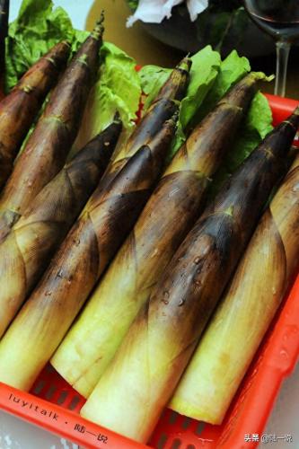 厦门辣味川菜排名前十(厦门正宗川菜十大排名)插图21