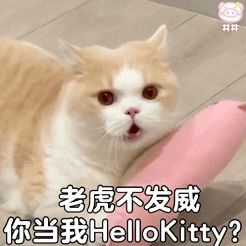 人民币上的猫(100元人民币后有猫)插图