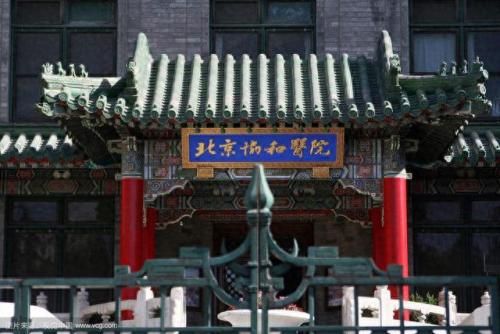 贝志成(方舟子谈贝志诚)插图