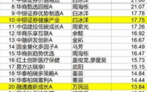 今年基金排名前十(基金排名查询一览表)
