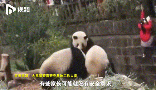 不以规矩(不以规矩的以意思是什么)插图2