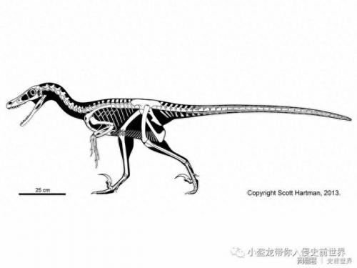 wow化石迅猛龙(魔兽世界白色的迅猛龙)插图2