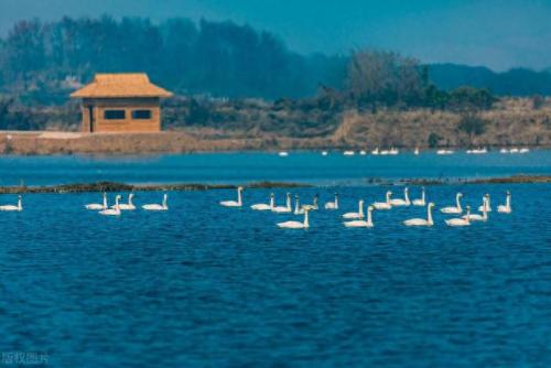 湖北排名前十湖泊(湖北20大水库)插图34