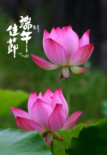端午节小学古诗词(小学端午节习俗的古诗)插图9
