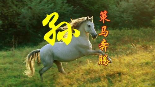 百家姓qq头像(百家姓头像大全真实图)插图39