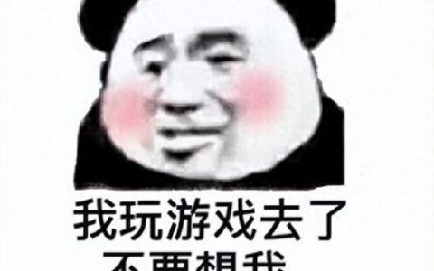 目前排名前十的电脑网游(网游充值榜前十)