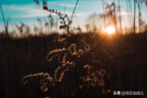人生是一张单程票(人生单程票经典语录)插图2