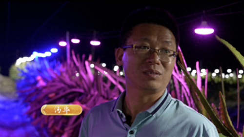 超级人参果多少钱(梦幻西游超级人参果多少钱)插图5