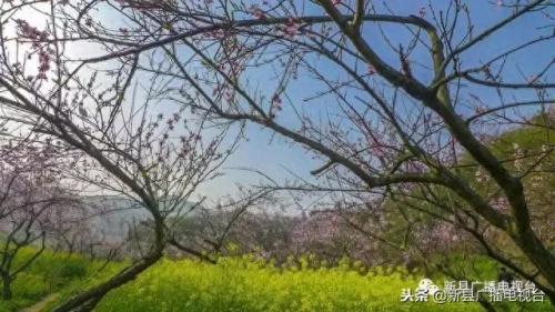 新县水库排名前十(新县牢山水库)插图7