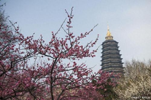 常州景点排名前十(常州十大免费景点)插图4