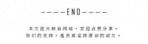 搞笑排名前十电影(搞笑的电影排行榜前十名中国)插图21