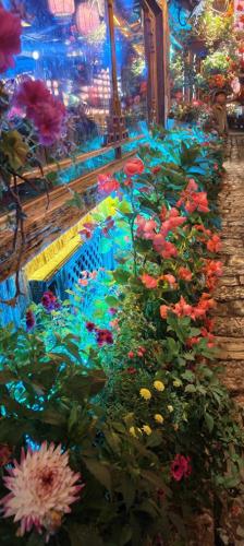 上古卷轴4和5哪个好玩(上古卷轴5老婆排名)插图5