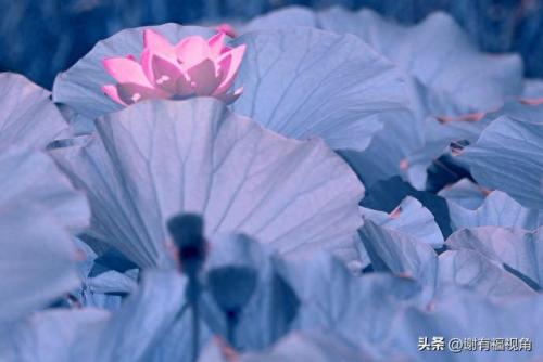 另类图库(49个图库app)插图14