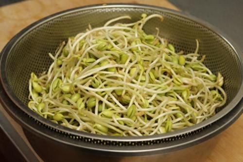 豆芽制作(豆芽制作机器)插图