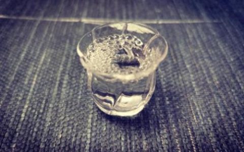 薛兴国(扇耳光的济源领导后续)