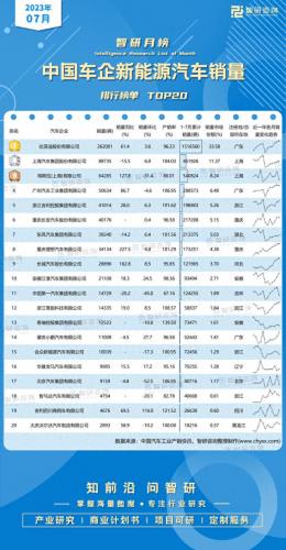 浙江电动汽车销量排名前十(电动汽车在外国的销量排名)插图1