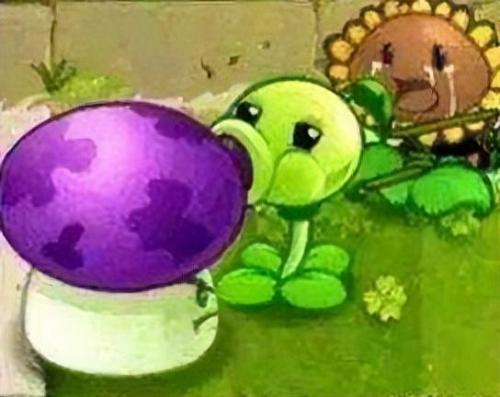 植物大战僵尸2奇妙时空之旅(植物vs僵尸)插图36
