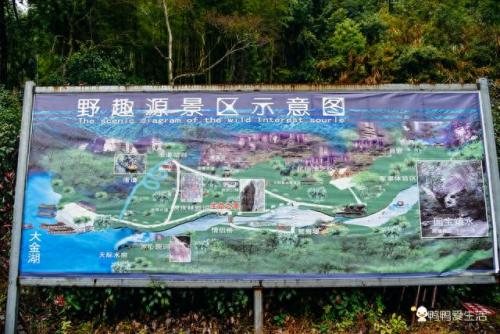 大金湖好玩吗(大金湖游玩攻略)插图3