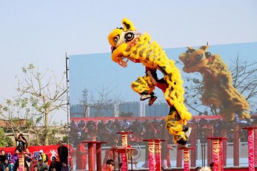 广东最强舞狮排名前十(广东舞狮有哪些)插图2