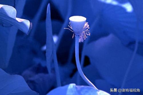 另类图库(49个图库app)插图5