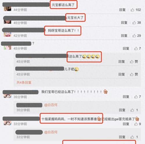 白百合的儿子多大了(张思麟比白百何大几岁)插图3
