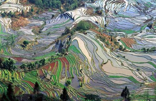 世界十大梯田排名前十(中国十大梯田排行)插图8