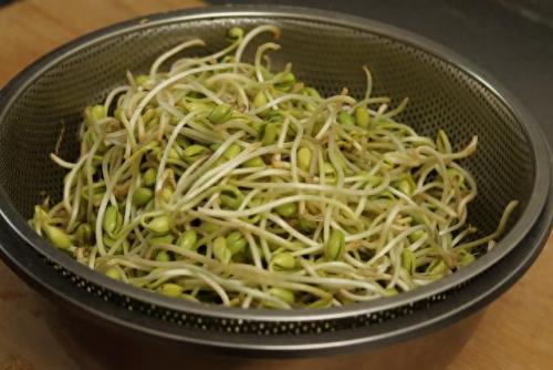 豆芽制作(豆芽制作机器)插图5