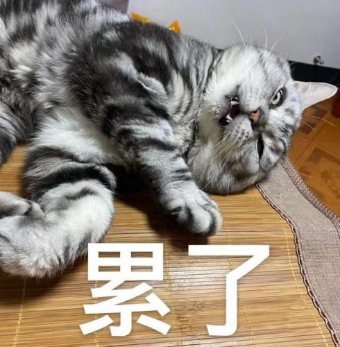 暗黑破坏神不朽新职业(暗黑破坏神不朽血骑士)插图1