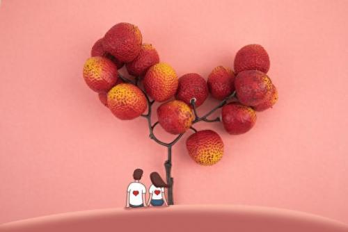 心电感应(心电感应歌曲)插图1