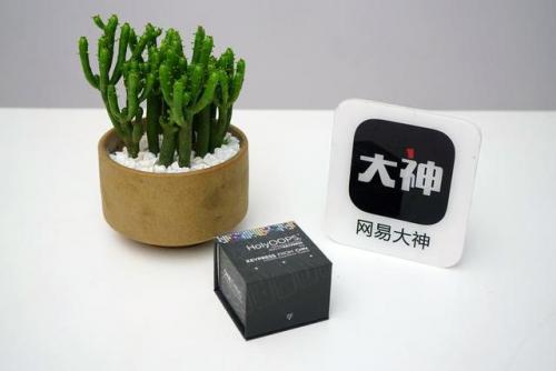 肉蒲是什么意思(节菖蒲和石菖蒲功效上的区别)插图2
