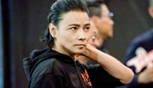 世界武术排名前十位是谁(世界武术排名一览表)插图19