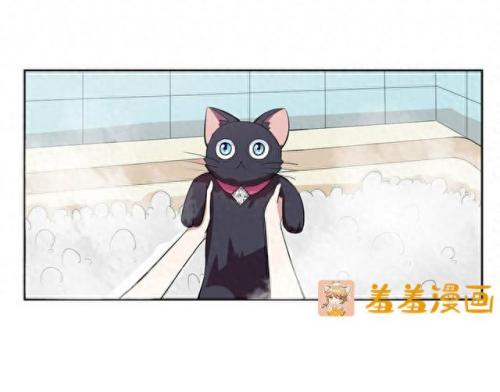 羞羞的漫画登录页面弹窗入口页面(免费韩漫画登录入口首页)插图24