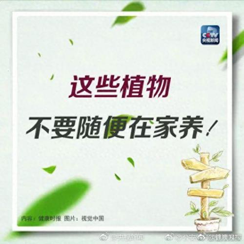 养合元是什么(养合元是什么东西呀)插图4