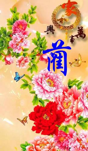 百家姓qq头像(百家姓头像大全真实图)插图65