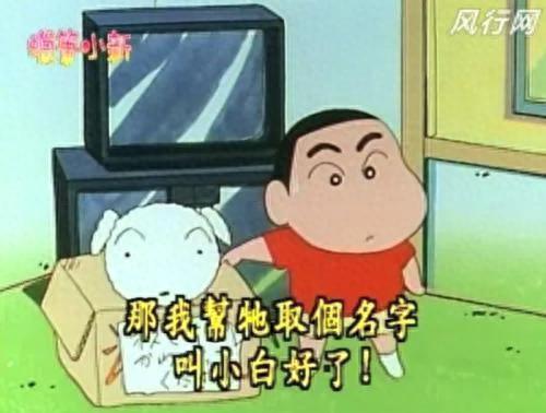 蜡笔小新新番小白排名前十(蜡笔小新新番小白发福了)插图6