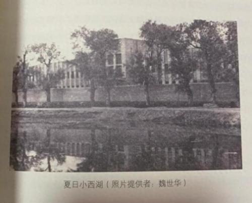 兰州小西湖早教班排名前十(兰州早教中心哪家最好)插图2