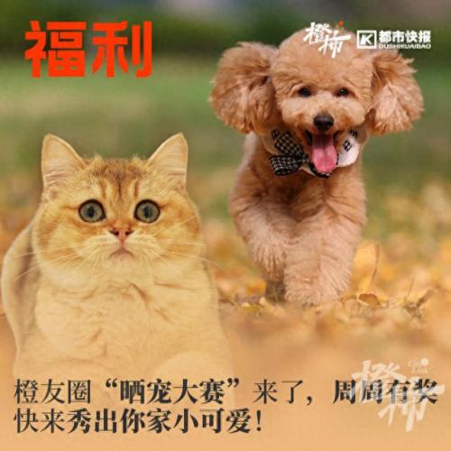 临安漂流排名前十(临安现在有几处漂流)插图40