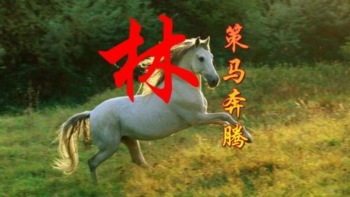 百家姓qq头像(百家姓头像大全真实图)插图41
