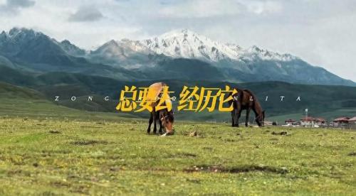 网络人气歌曲排名前十(网络最红歌曲排行榜前十名)插图5