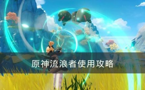 原神流浪者怎么用(流浪者阵容配队原神)