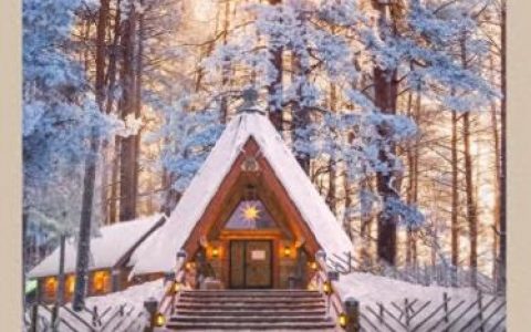 2021下雪发朋友圈唯美短句(2020朋友圈下雪的句子)