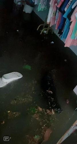 山东高密店铺遭水淹 市民-雨像瀑布(高密醴泉幼儿园被水淹了)插图