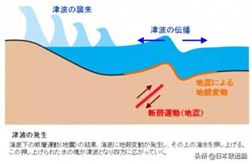 大津波(天津津波仪表有限公司)插图2