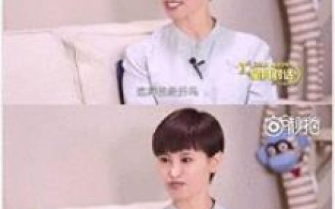 张歆艺前夫(张歆艺结了几次婚)