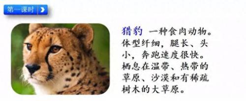 奔的多音字组词(奔多音字怎么区分)插图5