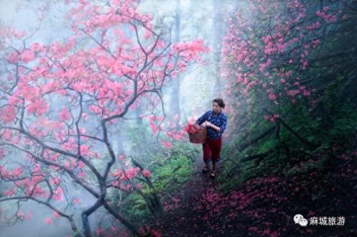 景点照片(景点照片和现实对比)插图2