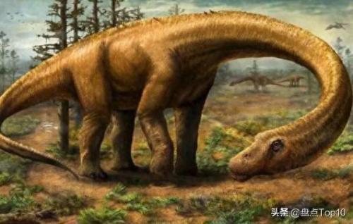 我的世界冥王星排名前十(我的世界宇宙天狼星)插图7