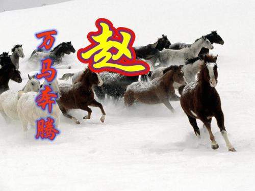 百家姓qq头像(百家姓头像大全真实图)插图20